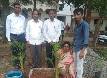 Tree Plantation